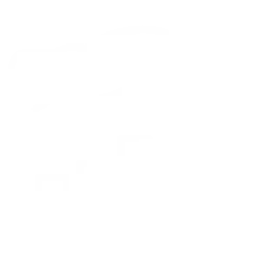 performance-icon