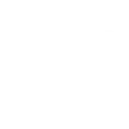 seo-icon