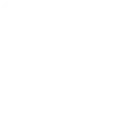development-icon